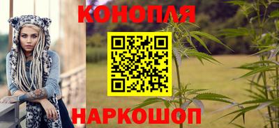 spice Краснознаменск